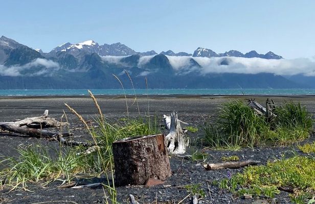 Tonsina Beach Hike with Seward Guided Hikes