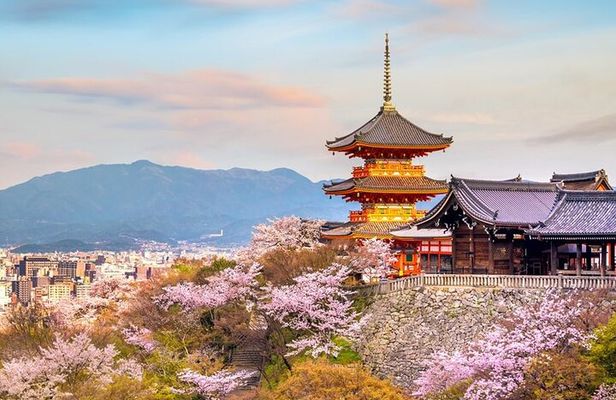 Osaka & Kyoto & Nara Top Hightlights English Speaking Tour