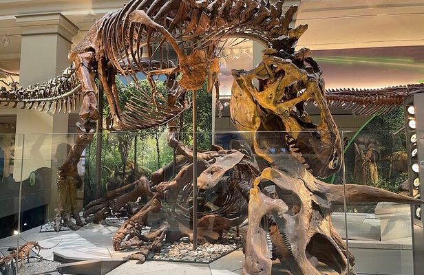 Smithsonian Natural History Museum Exclusive Guided Tour