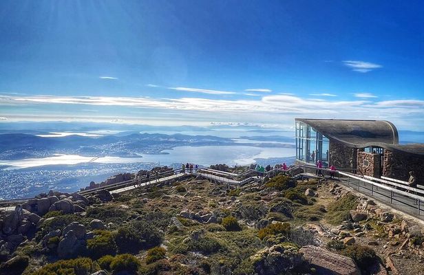 kunanyi/Mt Wellington Ultimate Experience Afternoon Tour