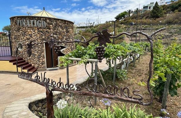 Guided Tour with 6 Wine Tasting