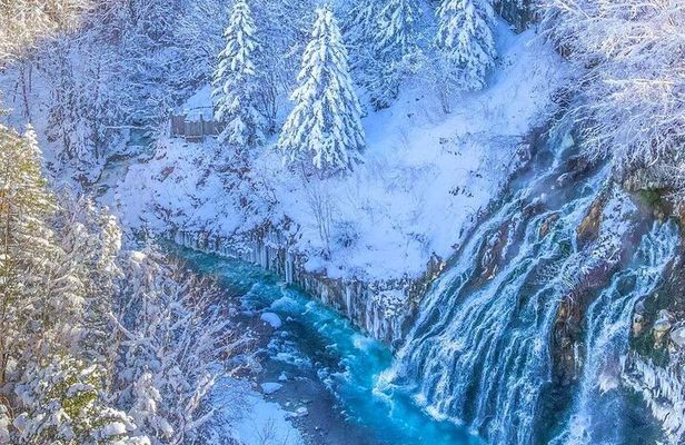 Shirogane Pond and Farm Tomita Day Tour from Sapporo