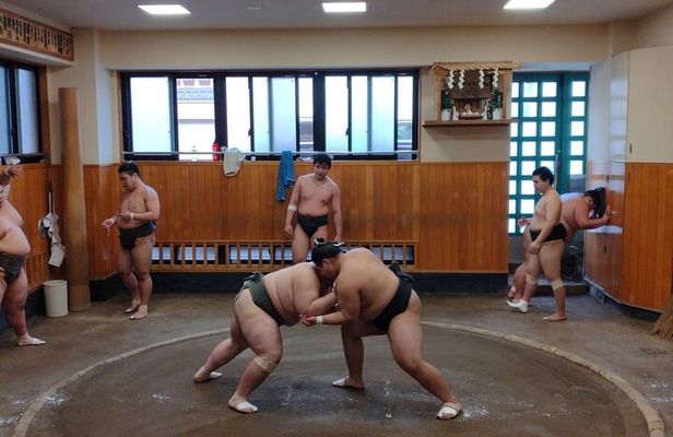 Sumo Practice Watching and Japan’s Beautiful Culture and History