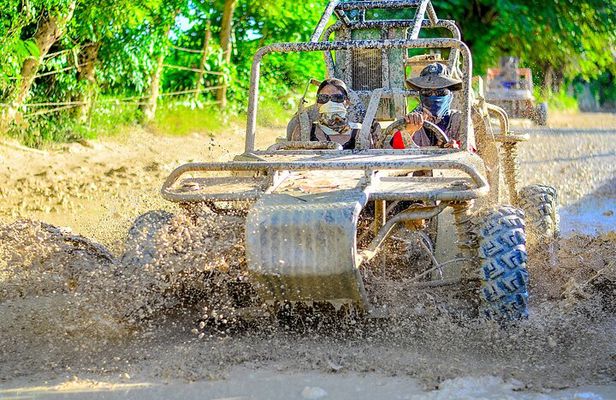 Buggy Ride with Cenote Coffee and Chocolate Tasting