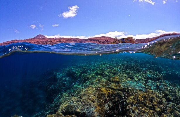 2 Hour São Nicolau, Cabo Verde Snorkeling Trips