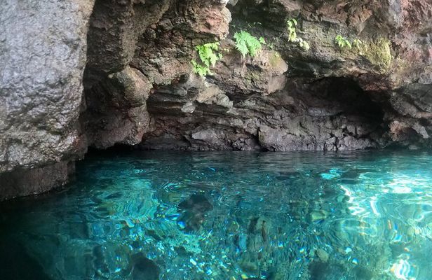 Ultimate Upolu Highlights Tour – Apia Cruise Ship Shore Excursion