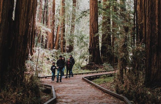 Private Tour of John Muir Redwoods and Sausalito