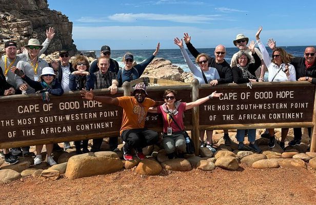 Private Tour: Cape of Good Hope and Penguins from Cape Town