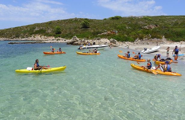Kayaking and Snorkeling Tour in the Marine Reserve