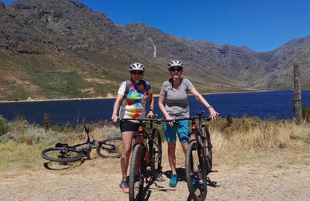Half Day E Bike Cycling Wine Tour