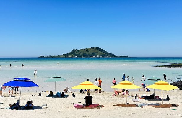 Small Group Tour in West Jeju Healing Island w/Hotel Pick-up