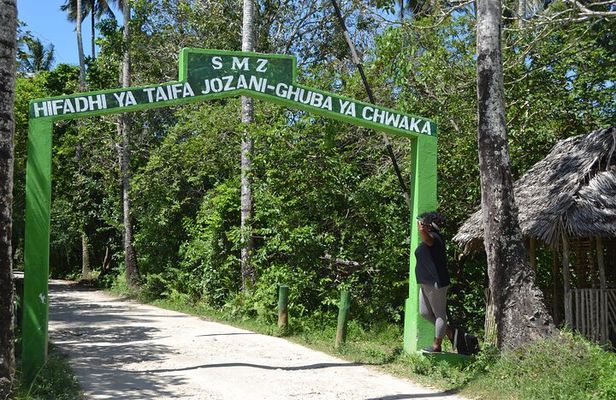 Full day private Zanzibar Jozani Forest Spice Farm with City tour