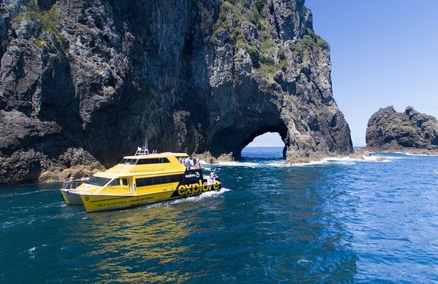 Bay of Island Day Tour with Hole in the rock cruise from Auckland