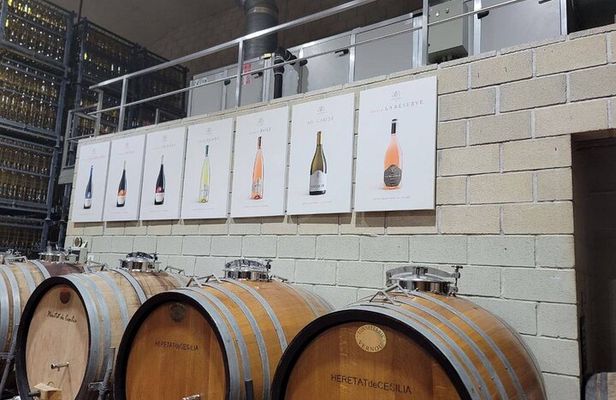 Beautiful Winery in the Alicante