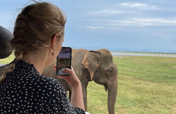 04 Hours Safari Jeep Tours 