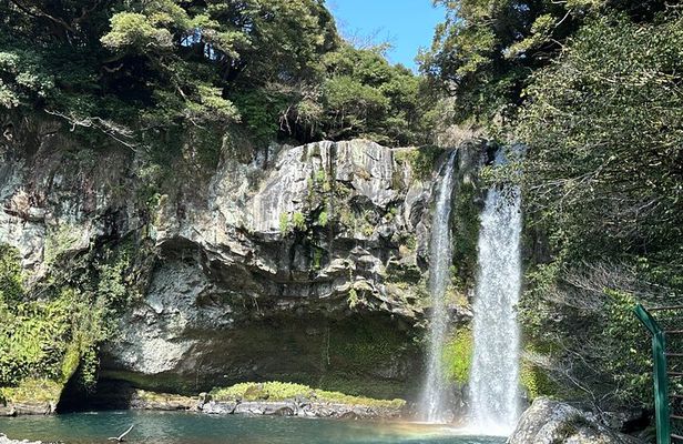 Small Group Tour in South Jeju Healing Island w/Hotel Pick-up