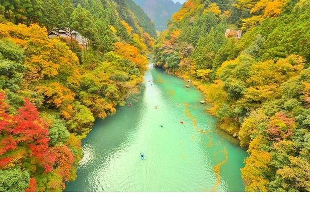 Tokyo Okutama Day trip Tour