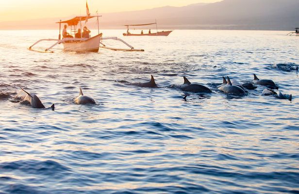 Munduk Waterfall Dolphin and Snorkeling Tour