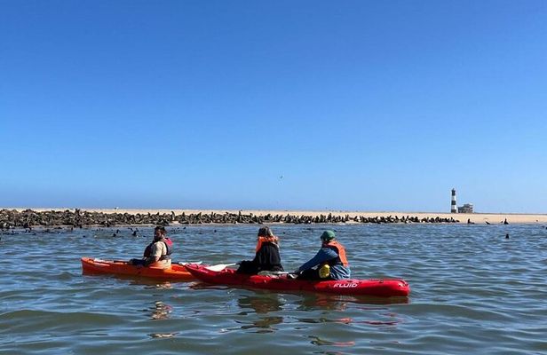 Seal Kayaking at Pelican Point from Walvis Bay