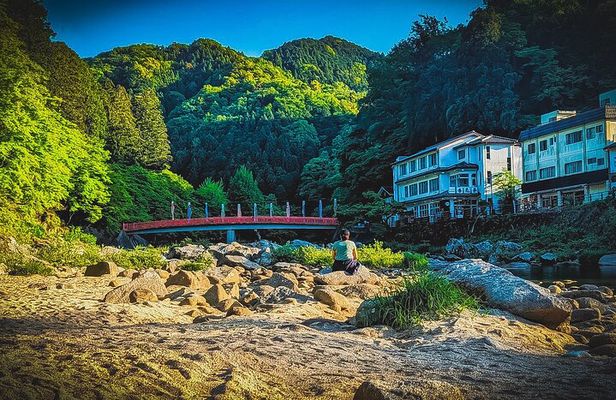 Nagoya: all-inclusive car tour to Korankei valley