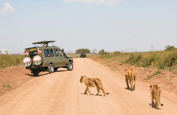 9 Days African Wild Safari and Beach Tour