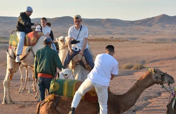 From Marrakech: Agafay desert sunset Full Package & live show