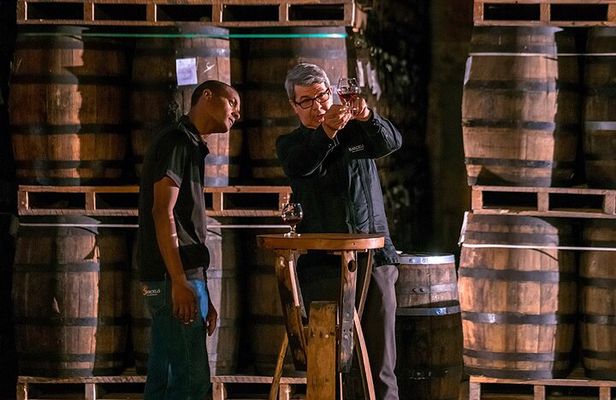 Half-Day Tour: Ron Barceló Factory Experience from Santo Domingo
