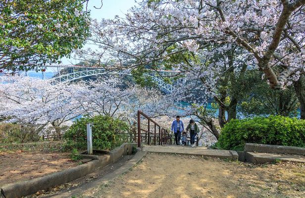 Sasebo Private Customizable Full Day Tour