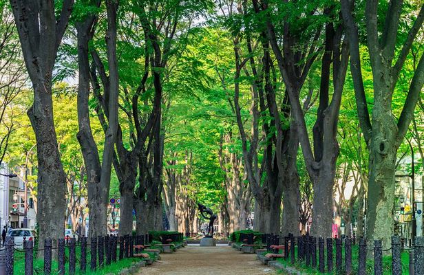 Sendai Private Customizable Full Day Tour