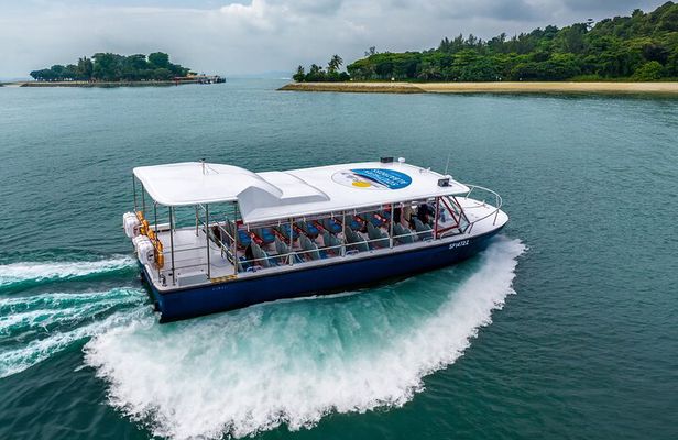 Singapore - Albatross Speedboat Adventures Cruising in Sentosa