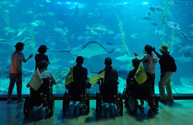 A comfortable wheelchair trip & east of Jeju