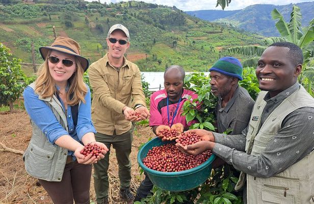 Tea and coffee tours