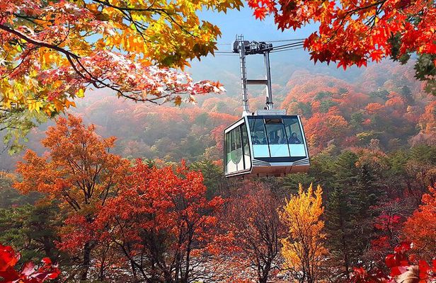 Autumn Foliage-Mt. Seorak, Sokcho Beach, Market, Observatory