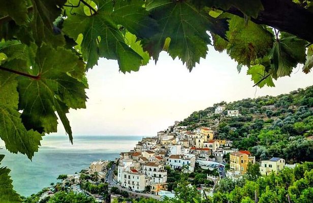 Amalfi Coast Hike and Wine Tour in Vietri