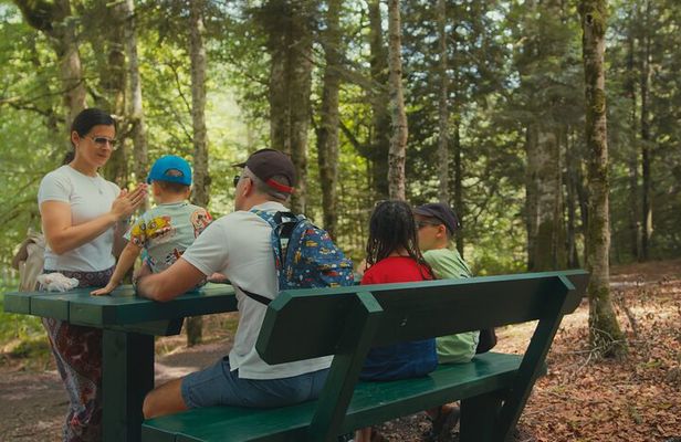 Biogradska Gora National Park Tour with Optional Add-Ons