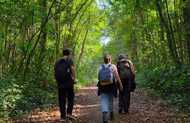Full-Day Trekking: Explore Cat Ba National Park, Viet Hai Village