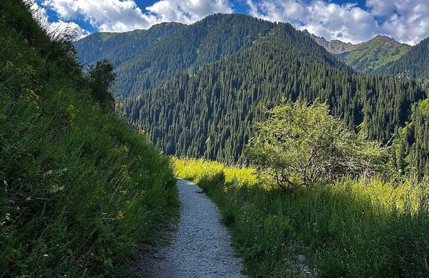 Group Tour: Big Almaty Gorge (Ayusai, Almarasan, Park)