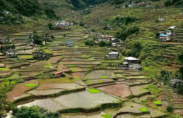 Banaue-Sagada A 7 days Northern Adventure Trip 