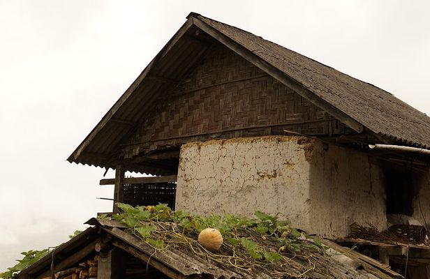 Hidden Villages Trekking to Hau Thao, Hang Da, and Sa Seng