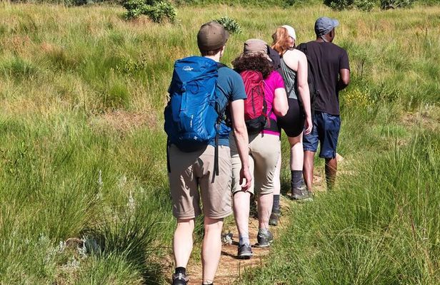 Cradle of Humankind Tour