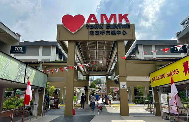 The Real Singapore Heartland Walking Food Tour
