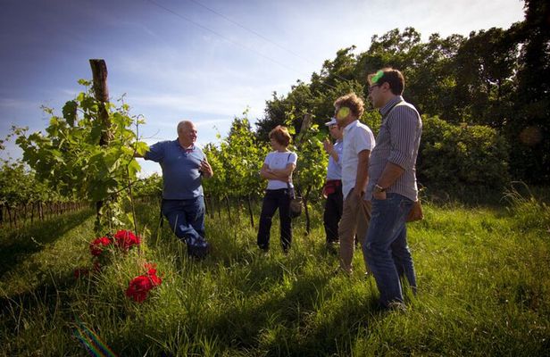 Winery Tour and Tasting on Padua Hills