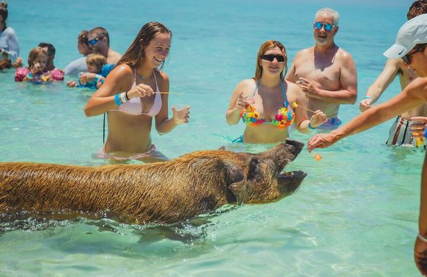 Guided All Inclusive Beach Day Excursion in Bahamas