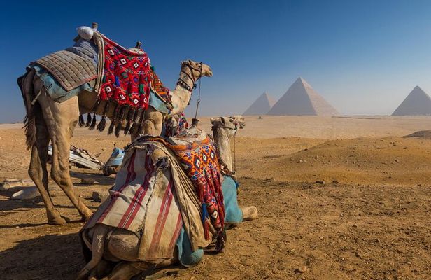 "Private Half-Day Tour to the Giza Pyramids Saqqara and Memphis