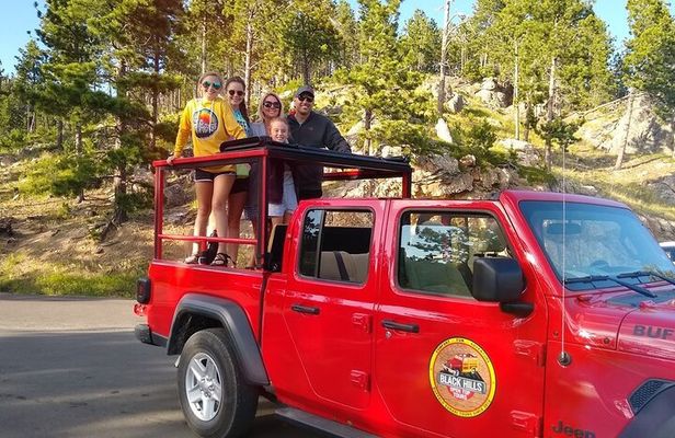 Custer State Park Complete - JEEP Bison Safari - 1/2 Day Public