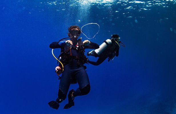 Two Tank Morning Reef Dive and Snorkel