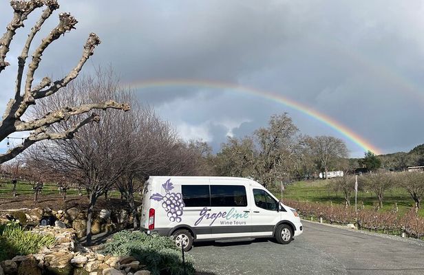 3-Winery Tour Includes Tastings & Lunch in Paso Robles from SLO