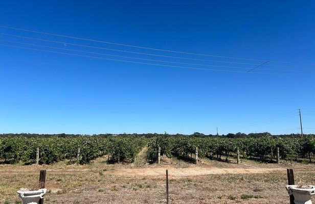 Barossa Valley Gin and Wine Tour