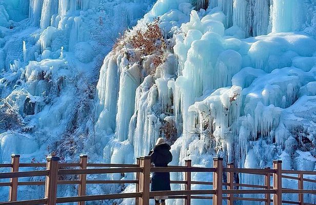 Eobi Ice Valley, Nami Island and Petite France tour in Seoul