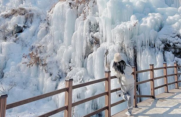 Eobi Ice Valley, Nami Island, Morning Calm and Rail Bike Seoul